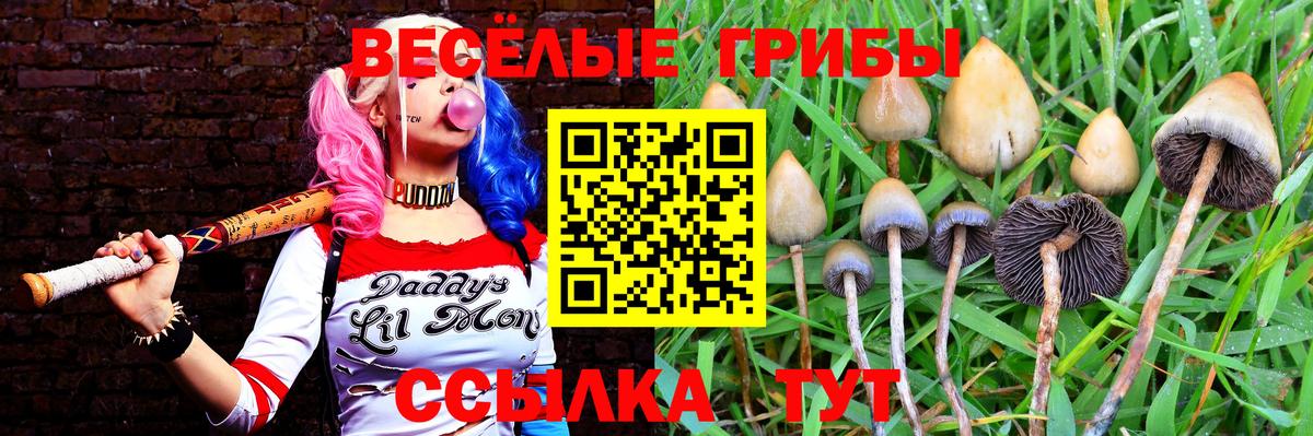 Ростов Великий  Псилоцибиновые грибы GOLDEN TEACHER  Вход с VPN 