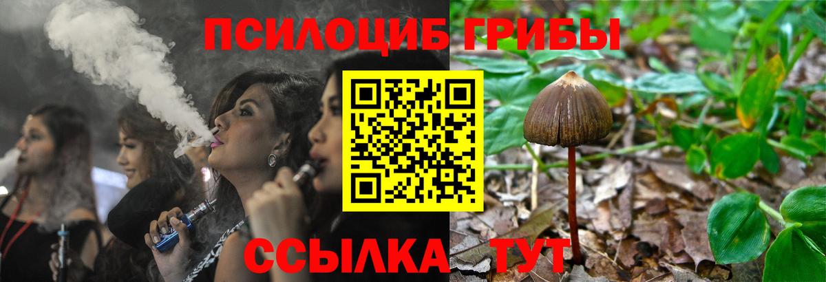 Псилоцибиновые грибы ЛСД Ростов Великий